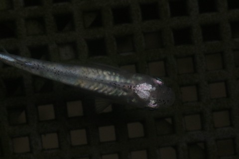 20210227102644_1V5A9948