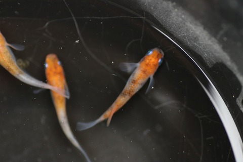 20190429124846_IMG_6676