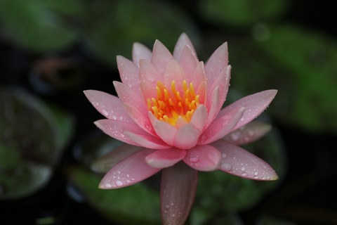 20190630095617_1V5A6901