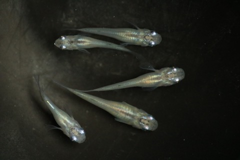 20190417133827_IMG_6309