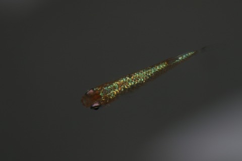 20220309110301_1V5A3426