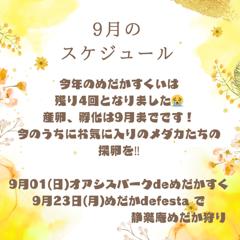 イエロー　ホワイト　ナチュラル　8月のスケジュール　インスタグラム投稿_20240828_084452_0000