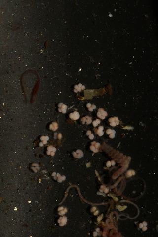 20210224114253_1V5A9876