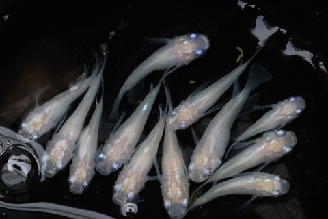 20200831182707_IMG_3066