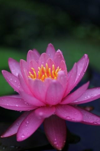 20190630095657_1V5A6905