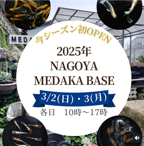 Screenshot_20250228-140404~2