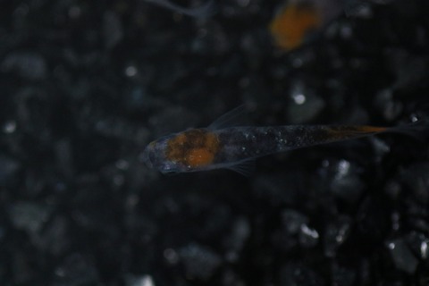 20191006102329_1V5A1542