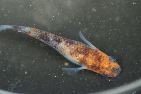 20190414124038_IMG_6245