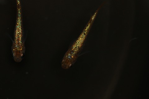 20220309121930_1V5A3460