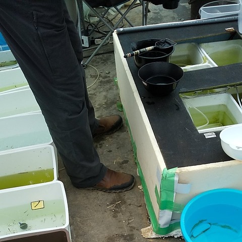 IMG_20210325_132626_551