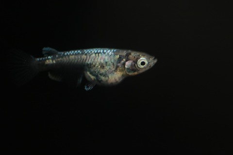 20190323110238_IMG_5215