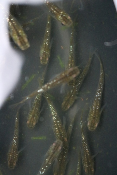 20180319101131_IMG_3973