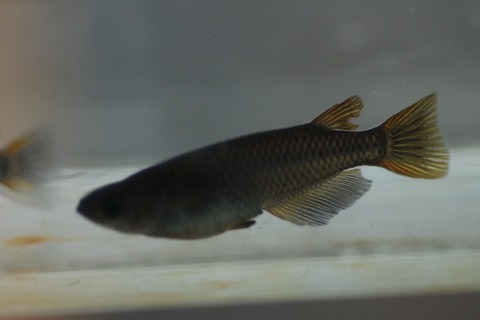 20190417141046_IMG_6346