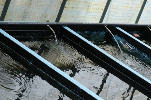 20210227095802_1V5A9889