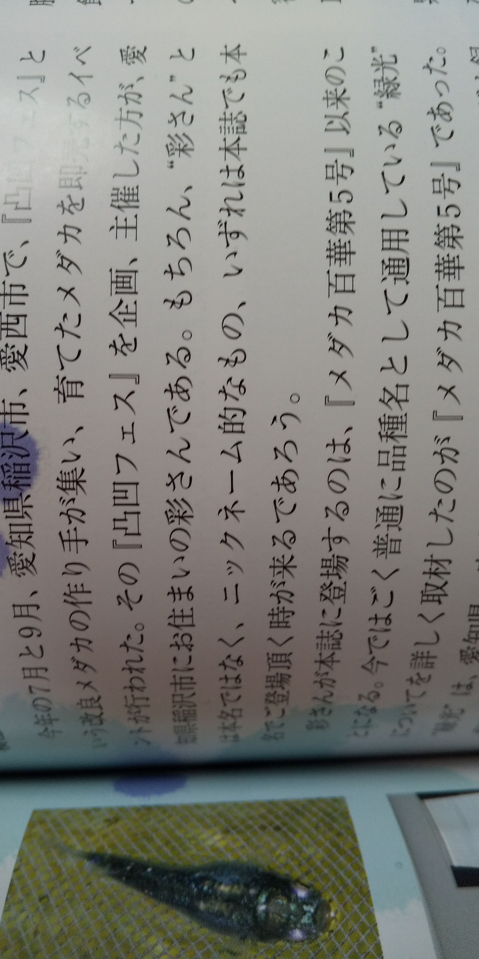 温かい記事と温かい言葉と厳しい言葉 凸凹めだか凸凹の正直しんどい