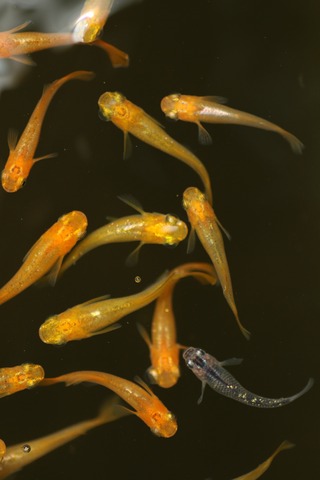 20190802104508_1V5A8310