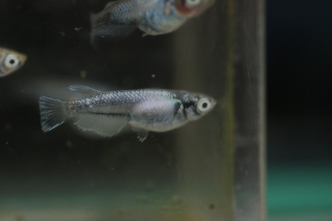 20190311175800_IMG_4509