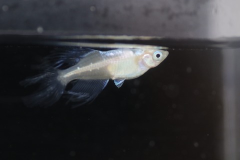 20190725121012_1V5A7685