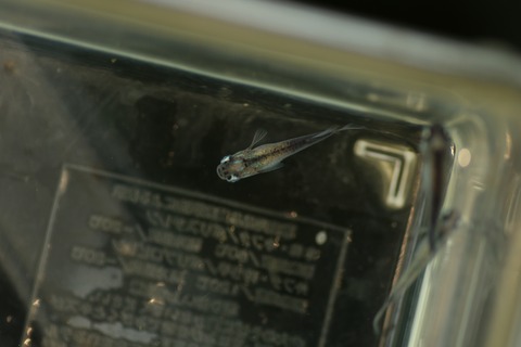 20190802113914_1V5A8412