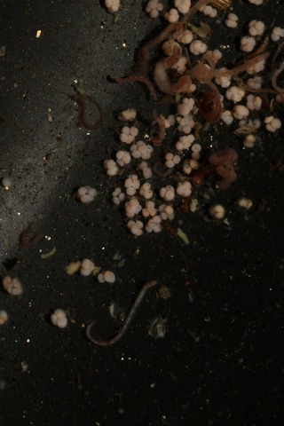 20210224114303_1V5A9878