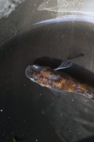 20190726180335_1V5A7777_1