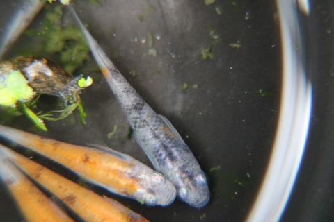 20180109143537_IMG_2675