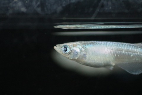 20200907155016_IMG_3282