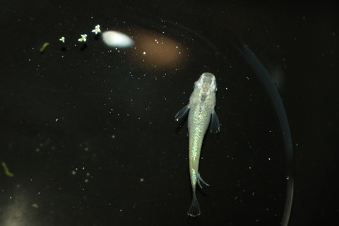 20180801182207_IMG_7714