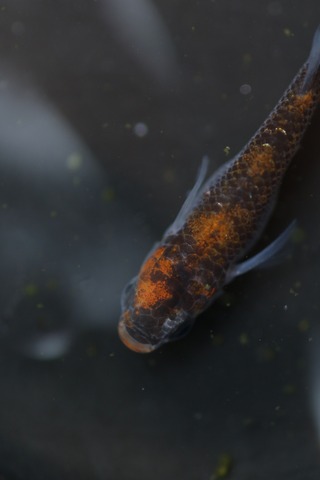 20200322142103_1V5A9184