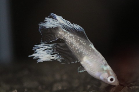 20191006102131_1V5A1541