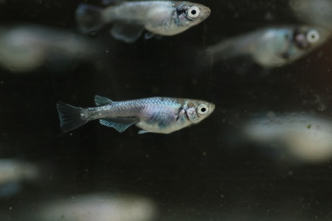 20190311180000_IMG_4520