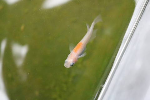 20180319105020_IMG_3994