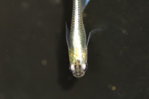 20200322113930_1V5A9134