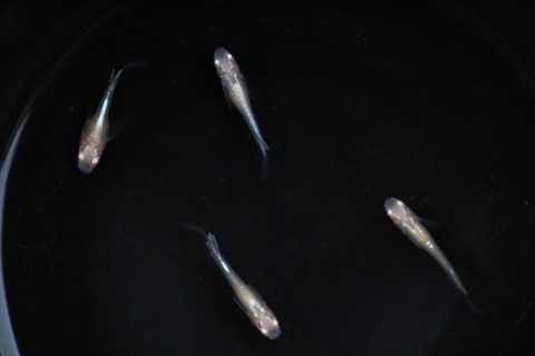 20190715181143_1V5A7641