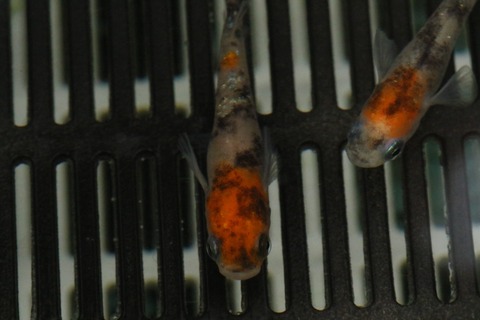 20210227095627_1V5A9880