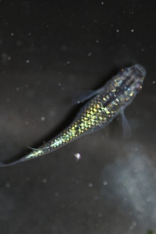 20200331103851_1V5A9335