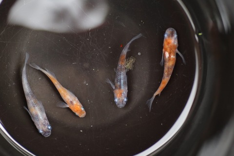 20190715115257_1V5A7503