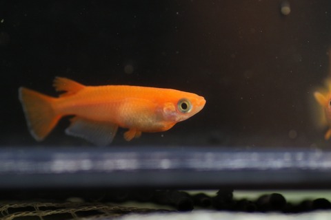 20190726180945_1V5A7797