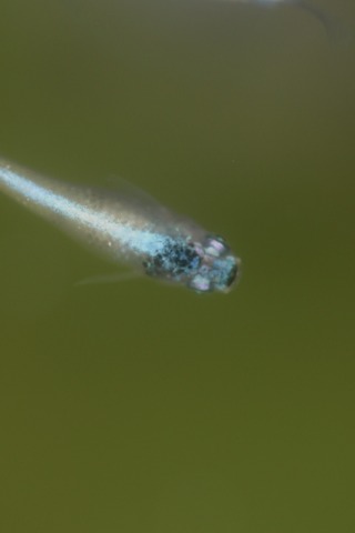 20191013105252_1V5A1657