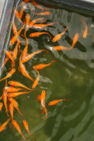 20190802111208_1V5A8393