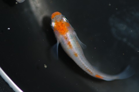 20200322121708_1V5A9164