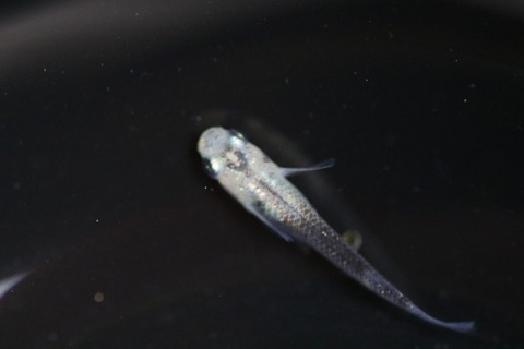 20190823134045_1V5A9058