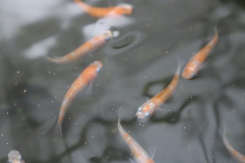 20180319101447_IMG_3975