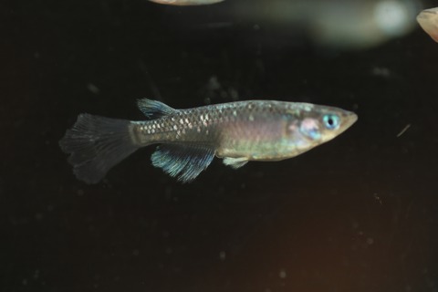 20200302160326_1V5A8264