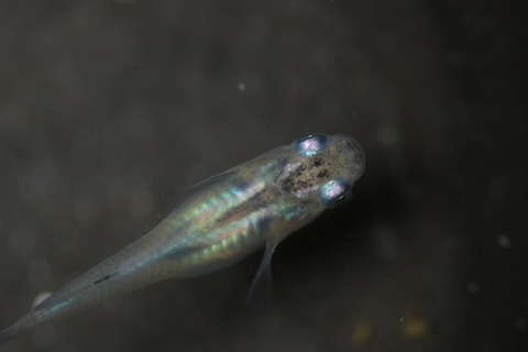 20190414114128_IMG_6205