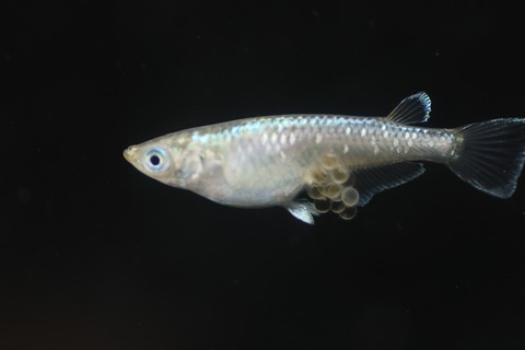 20190429113350_IMG_6657