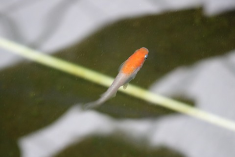 20180319105030_IMG_3996