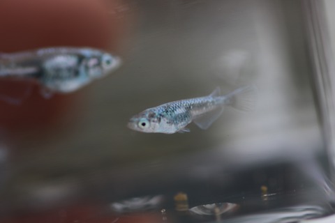 20200124111911_IMG_9714