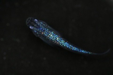 20200924181720_IMG_3549