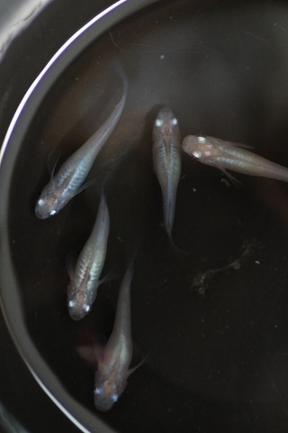 20190715115633_1V5A7509